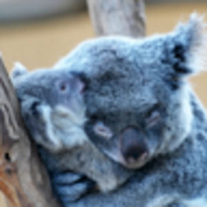 Meet your Posher, Seth